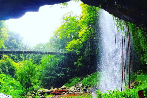 Rainforest & Waterfall Experience - Attractions Sydney 6