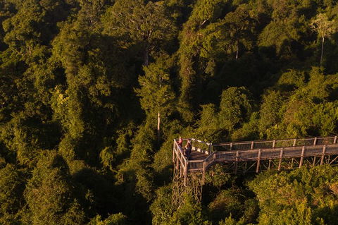 Rainforest & Waterfall Experience - Attractions Sydney 5
