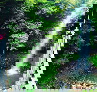 Rainforest  Waterfall Experience - Attractions Sydney