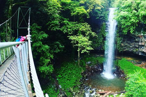 Rainforest & Waterfall Experience - Attractions Sydney 0
