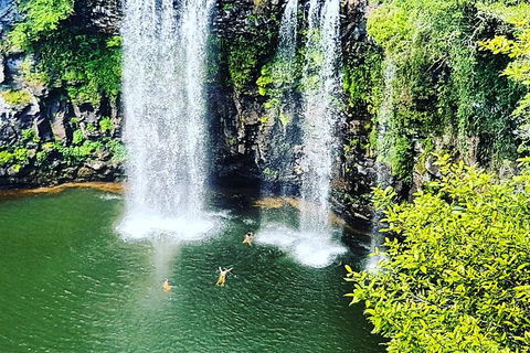 Rainforest & Waterfall Experience - Attractions Sydney 2