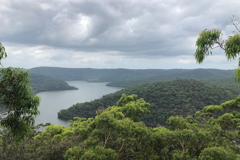 Kayak Berowra Valley - Attractions Sydney 11