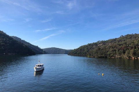 Kayak Berowra Valley - Attractions Sydney 6