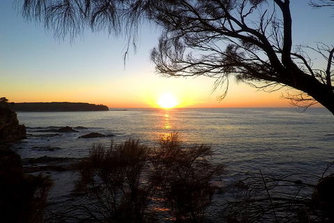 Batemans Bay Overnight Kayak Camping Tour - All Inclusive - Attractions Sydney 1