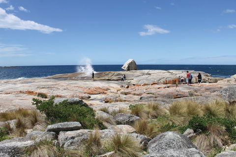 Bicheno Blowhole - Attractions Sydney 1