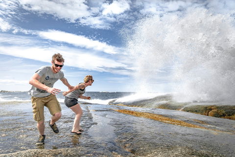 Bicheno Blowhole - Attractions Sydney 2