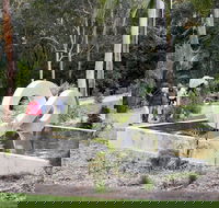 Maroochy Regional Bushland Botanic Garden - Attractions Sydney