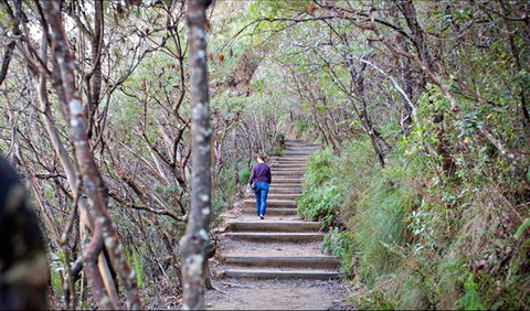 Princes Rock Walking Track - Attractions Sydney 0