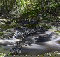 Protesters Falls Walking Track - Attractions Sydney