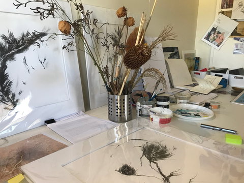 Sandra Blackburne Art Studio And Gallery - Attractions Sydney 1