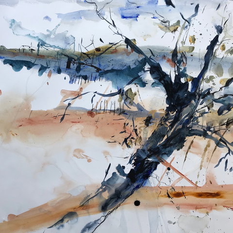 Sandra Blackburne Art Studio And Gallery - Attractions Sydney 2