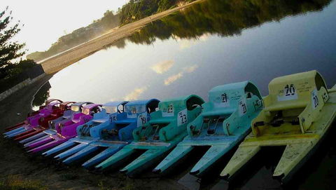Terrigal Paddle Boats And Stand Up Paddle Boards - Attractions Sydney 0