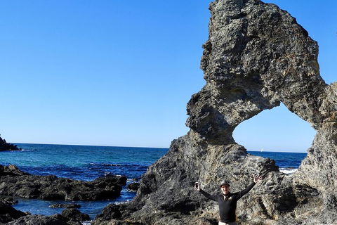 Narooma And Tilba Valley Private Tour - Attractions Sydney 4
