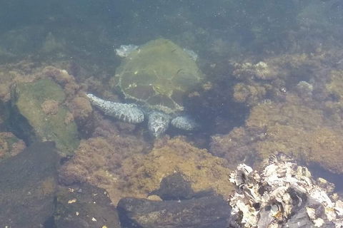 Sawtell To Coffs Harbour Bike Ride - Attractions Sydney 4