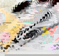 Tulloch Wines- Mystery Wine Tasting Experience with Local Cheese and Charcuterie - Attractions Sydney