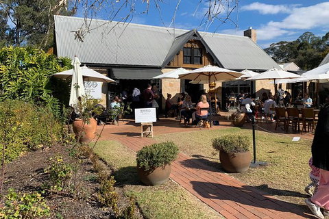 Hunter Valley Winery Tours - Attractions Sydney 4