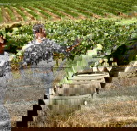 VIP Soil-To-Cellar Experience - Attractions Sydney