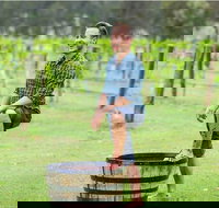 Hunter Valley Grape Stomping - Attractions Sydney