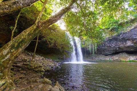 Half-Day Best Of Byron Sightseeing Tour - Attractions Sydney 0