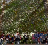 Breakfast Bushwalk Tour in Captain Cook's Monument - Attractions Sydney