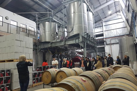 Hunter Valley Small Group Wine, Gin, Cheese & Chocolate Tour - Attractions Sydney 6