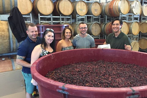 Hunter Valley Small Group Wine, Gin, Cheese & Chocolate Tour - Attractions Sydney 0