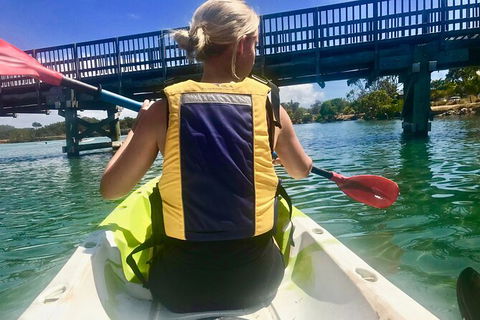 2-Hour Rental Kayak Double In Brunswick River - Attractions Sydney 3