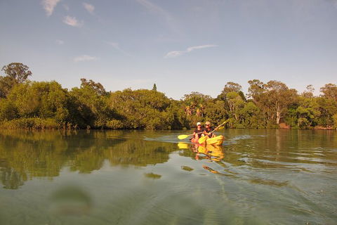 2-Hour Rental Kayak Double In Brunswick River - Attractions Sydney 5