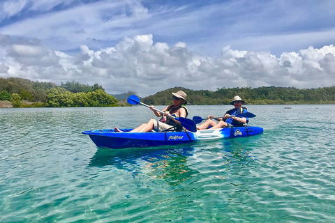 2-Hour Rental Kayak Double In Brunswick River - Attractions Sydney 0