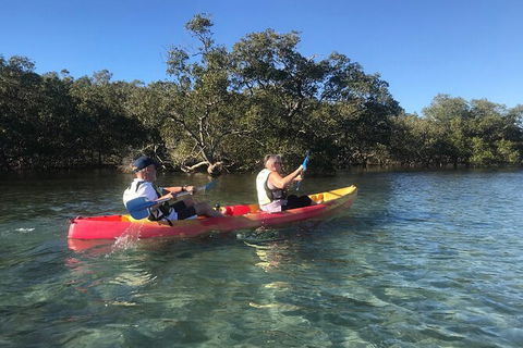 2-Hour Rental Kayak Double In Brunswick River - Attractions Sydney 4
