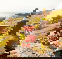 Six hour - plan your own wine and cheese tour Hunter Valley - Attractions Sydney