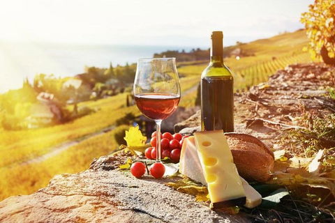 Six Hour - Plan Your Own Wine And Cheese Tour Hunter Valley - Attractions Sydney 0