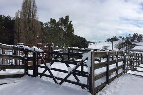 Paddock To Plate Farm Tour And Tasting - Attractions Sydney 11