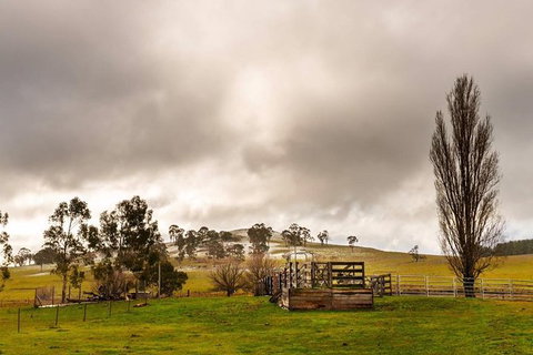 Paddock To Plate Farm Tour And Tasting - Attractions Sydney 0