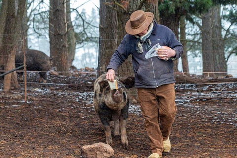 Paddock To Plate Farm Tour And Tasting - Attractions Sydney 5