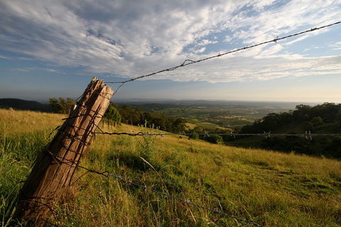 Private Full-Day Wine Tour In Hunter Valley - Attractions Sydney 3