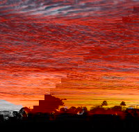 Private Full-Day Wine Tour in Hunter Valley - Attractions Sydney