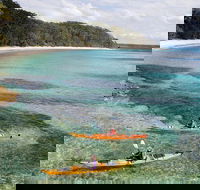 Half-Day Jervis Bay Sea Kayak Tour - Attractions Sydney