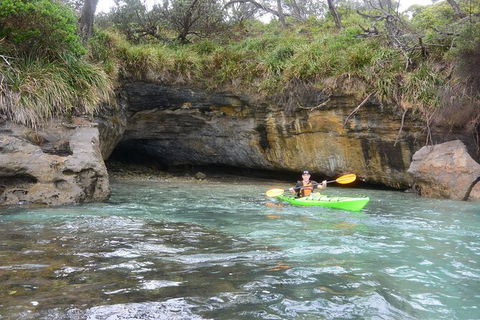 Half-Day Jervis Bay Sea Kayak Tour - Attractions Sydney 8