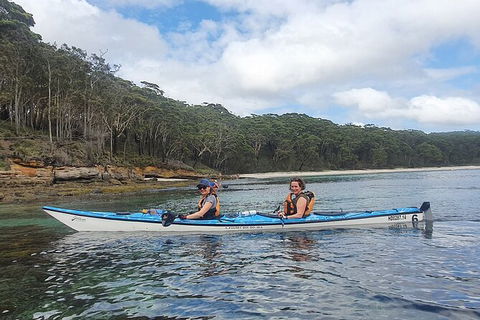 Half-Day Jervis Bay Sea Kayak Tour - Attractions Sydney 6
