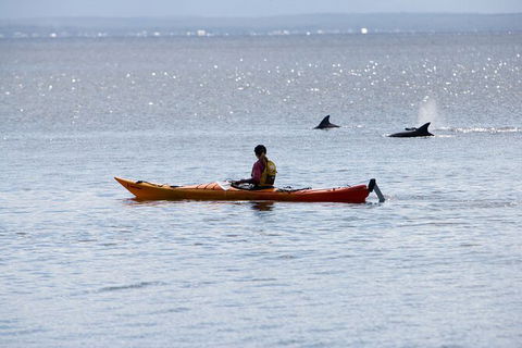 Half-Day Jervis Bay Sea Kayak Tour - Attractions Sydney 4