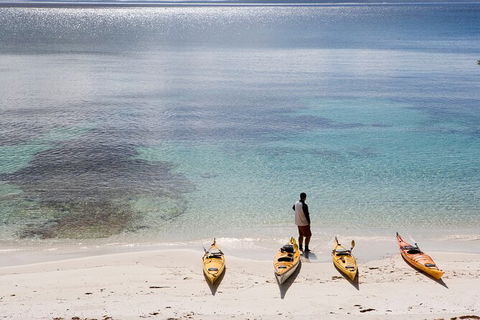 Half-Day Jervis Bay Sea Kayak Tour - Attractions Sydney 2