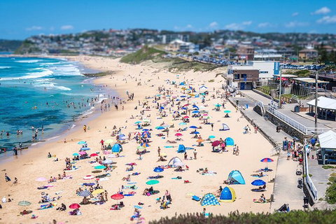 Newcastle Scenic Explorer - 2 Hour Tour By Minibus - Attractions Sydney 6