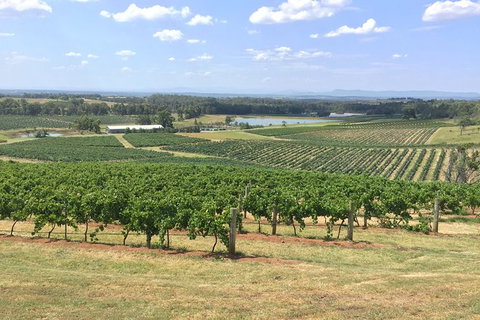 Hunter Valley Wine Tasting All Inclusive Private Bus Tour From Sydney - Attractions Sydney 6