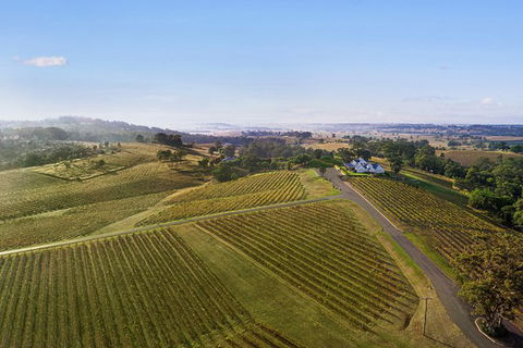 Audrey Wilkinson Vineyard: Fromage And Fortified Wine Experience - Attractions Sydney 1