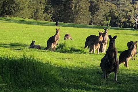 South Coast Photography Field Day - Attractions Sydney 6
