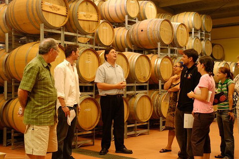 Hunter Valley Small Group Luxury Wine Tasting Tour From Sydney - Attractions Sydney 7