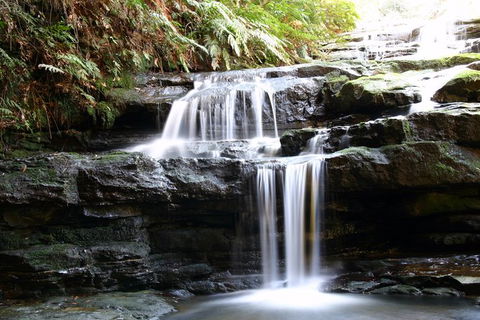 Private 10-hour Tour To Blue Mountains From Sydney - Hotel Pick Up & Drop Off - Attractions Sydney 6