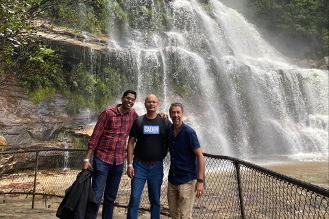 Blue Mountains Highlights & Wildlife Park - Attractions Sydney 4
