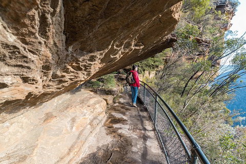 Blue Mountains Highlights & Wildlife Park - Attractions Sydney 0